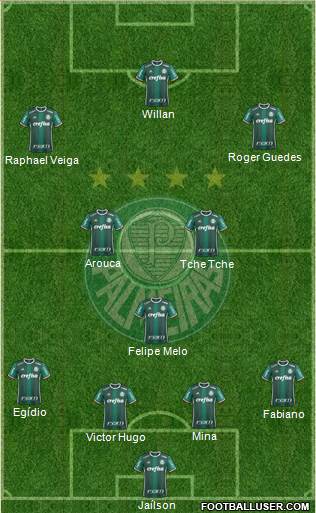 SE Palmeiras Formation 2017
