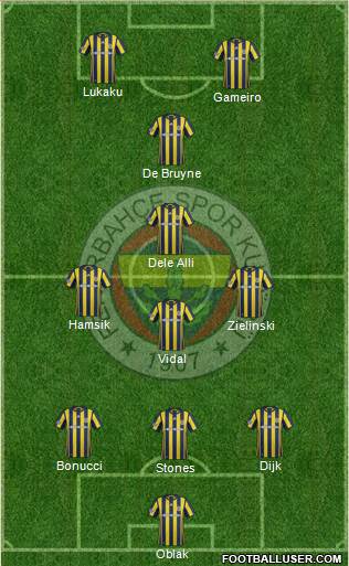 Fenerbahçe SK Formation 2017