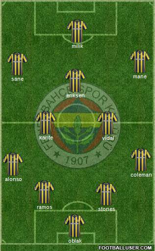 Fenerbahçe SK Formation 2017