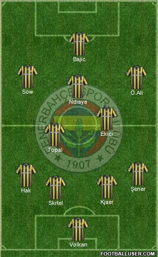 Fenerbahçe SK Formation 2017