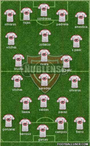 CD Ñublense S.A.D.P. Formation 2017