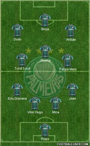 SE Palmeiras Formation 2017