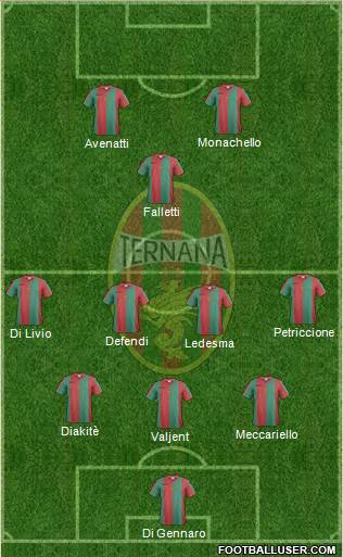 Ternana Formation 2017