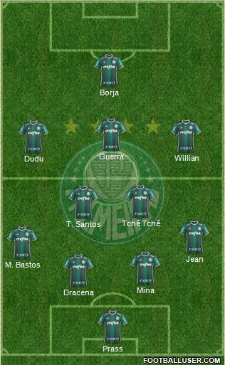 SE Palmeiras Formation 2017