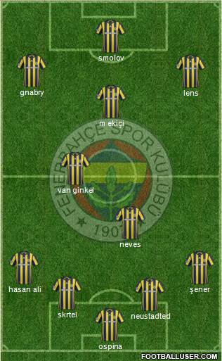 Fenerbahçe SK Formation 2017