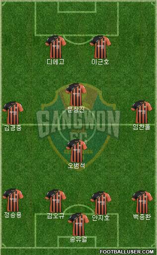 Gangwon FC Formation 2017