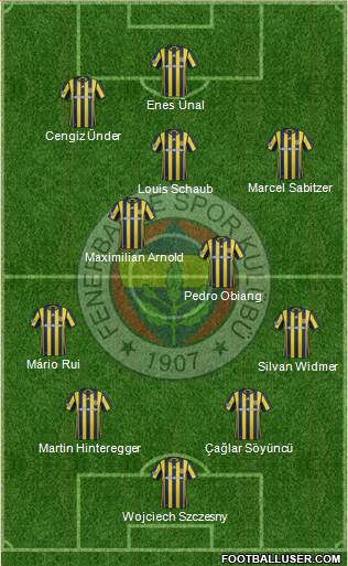 Fenerbahçe SK Formation 2017