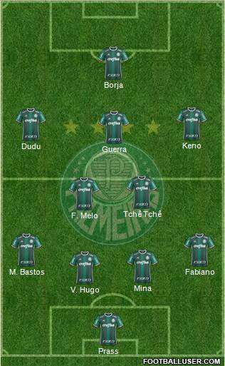 SE Palmeiras Formation 2017