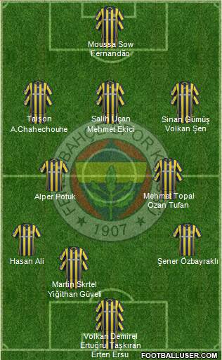 Fenerbahçe SK Formation 2017