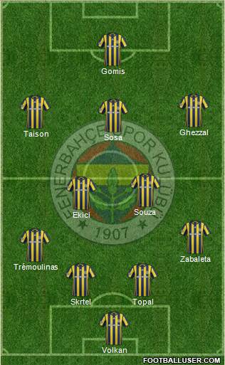Fenerbahçe SK Formation 2017