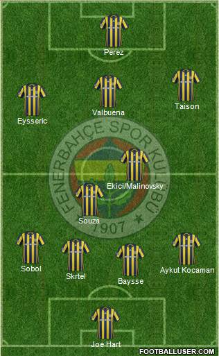 Fenerbahçe SK Formation 2017