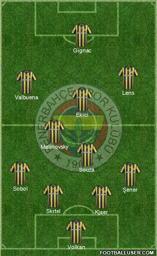 Fenerbahçe SK Formation 2017