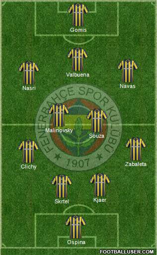 Fenerbahçe SK Formation 2017