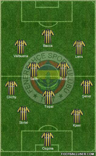 Fenerbahçe SK Formation 2017