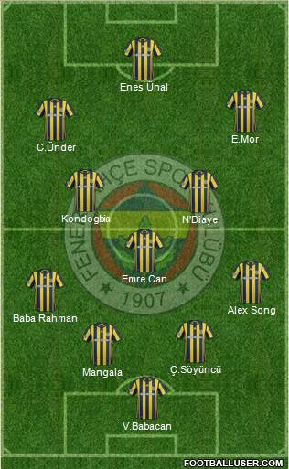 Fenerbahçe SK Formation 2017