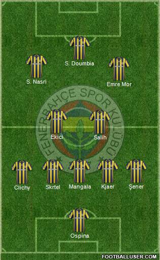 Fenerbahçe SK Formation 2017