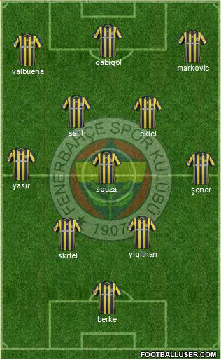 Fenerbahçe SK Formation 2017