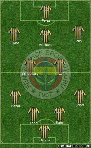 Fenerbahçe SK Formation 2017
