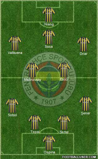 Fenerbahçe SK Formation 2017