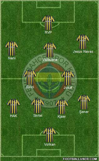 Fenerbahçe SK Formation 2017
