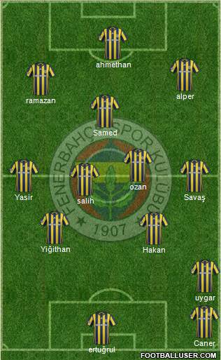 Fenerbahçe SK Formation 2017