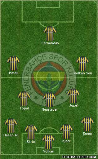 Fenerbahçe SK Formation 2017