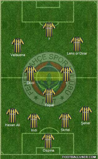Fenerbahçe SK Formation 2017