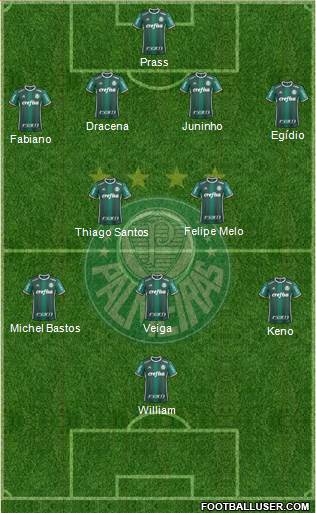 SE Palmeiras Formation 2017