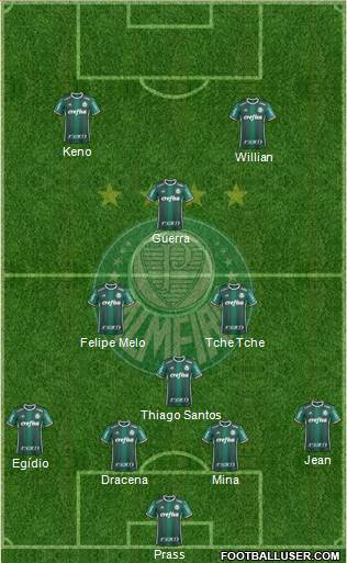 SE Palmeiras Formation 2017