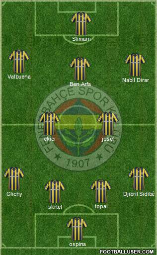 Fenerbahçe SK Formation 2017