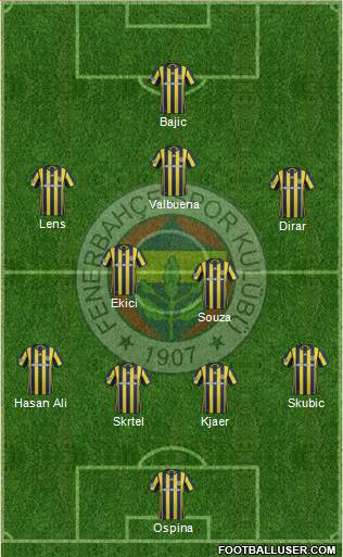 Fenerbahçe SK Formation 2017