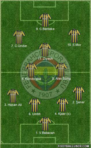 Fenerbahçe SK Formation 2017