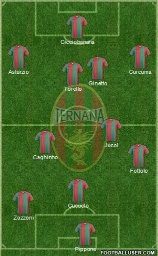 Ternana Formation 2017