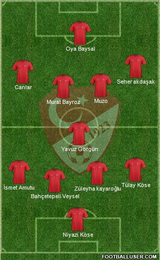 Turkey Formation 2017