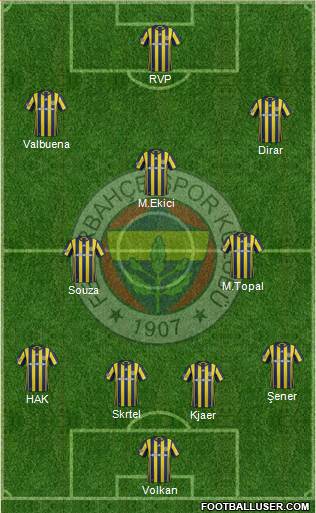 Fenerbahçe SK Formation 2017