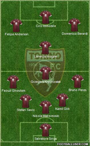 Torino Formation 2017
