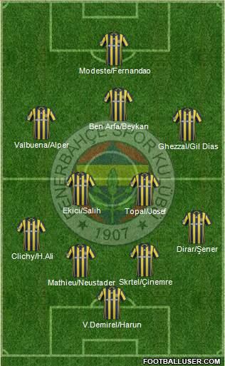 Fenerbahçe SK Formation 2017
