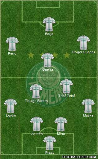 SE Palmeiras Formation 2017