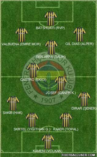 Fenerbahçe SK Formation 2017