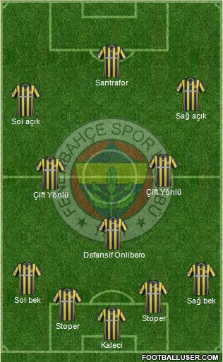 Fenerbahçe SK Formation 2017