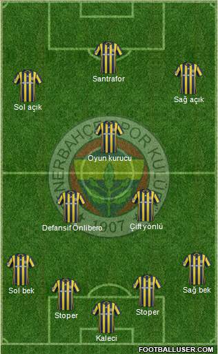 Fenerbahçe SK Formation 2017