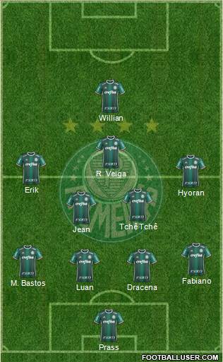 SE Palmeiras Formation 2017