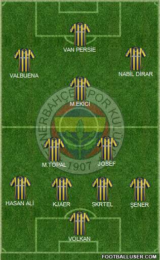 Fenerbahçe SK Formation 2017