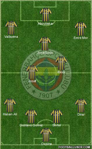 Fenerbahçe SK Formation 2017