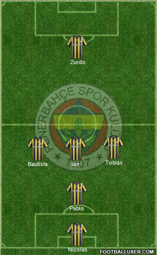 Fenerbahçe SK Formation 2017