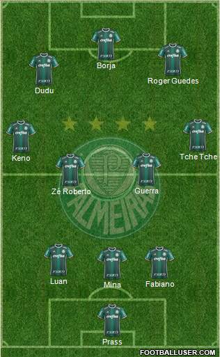 SE Palmeiras Formation 2017