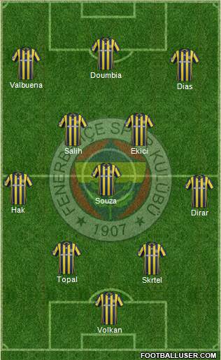 Fenerbahçe SK Formation 2017