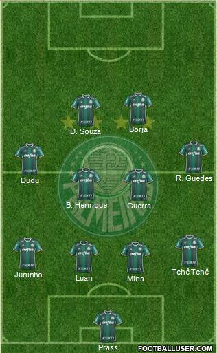 SE Palmeiras Formation 2017