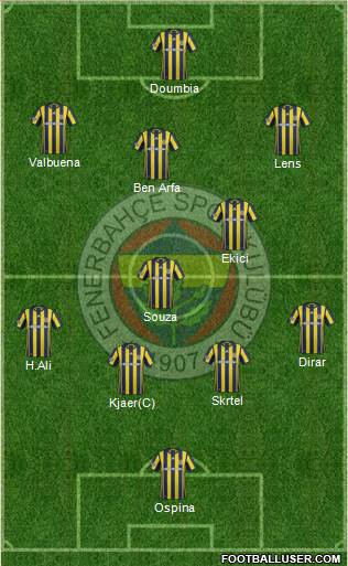 Fenerbahçe SK Formation 2017