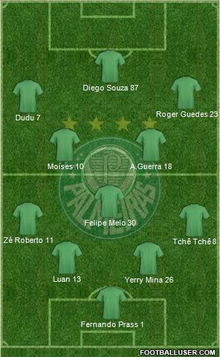 SE Palmeiras Formation 2017